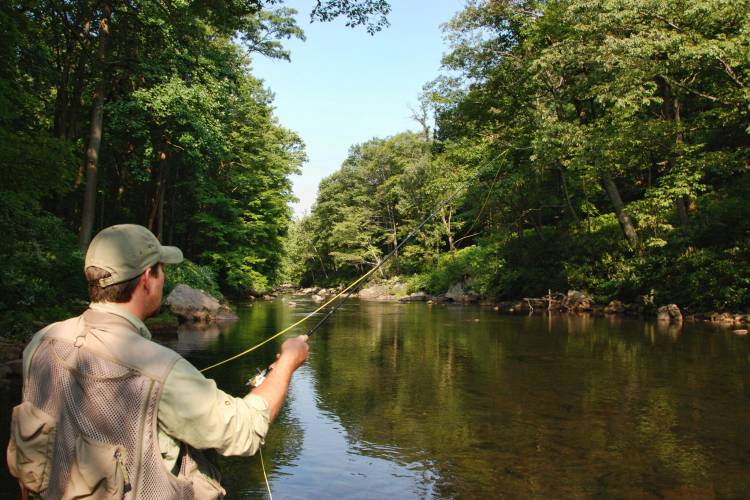 Man Fishing in Garrett County, MD